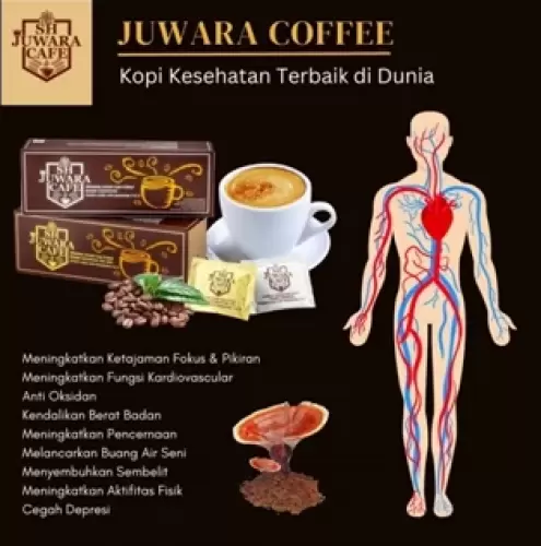 Ilustrasi kandungan ganoderma